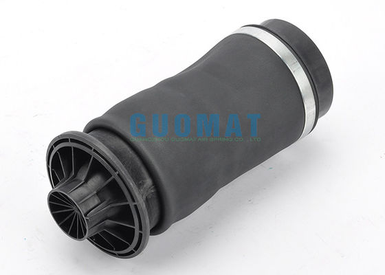 Parti posteriori A1663200325 A1643201025 della sospensione dell'aria di Mercedes Benz W164 dell'aerostato