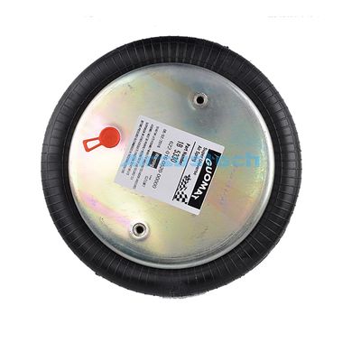 Triangolo 6374 4474 Sorgenti d'aria industriali avvolte per cam follower