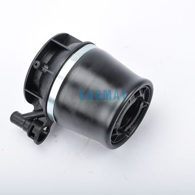 Kit di molla di sospensione anteriore 4L1Z5A891AA per LINCOLN NAVIGATOR 2003-2006