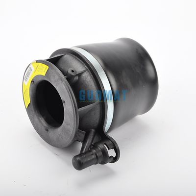 Kit di molla di sospensione anteriore 4L1Z5A891AA per LINCOLN NAVIGATOR 2003-2006