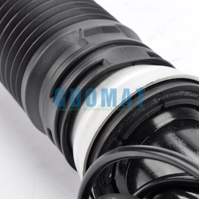 A2213205613 Mercedes Benz Classe S W221 Assorbente d'urto d'aria posteriore destro