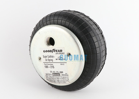 molla pneumatica industriale di 1B9-215 Goodyear 578913201 Enidine YI-1B9-215