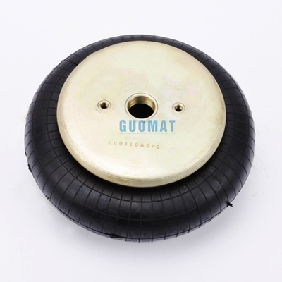 Goodyear 1B9-202 Scaffalature di gomma a molla a aria per strumento