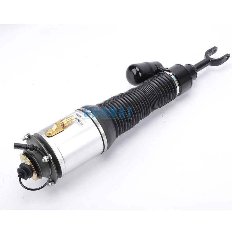 Air Shocks 3D0616039 Suspensione anteriore sinistra Air Strut Per VW Phaeton 2002-2016